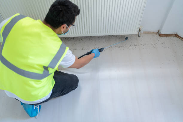 Real Estate Pest Inspections in Bakersfield, CA